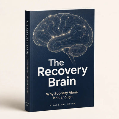 Sobriety Recovery Guide