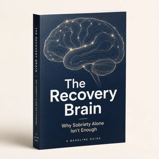 Sobriety Recovery Guide